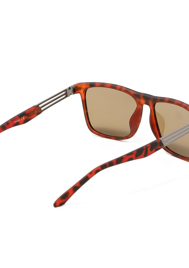 zimg 17987 1 077 4 113