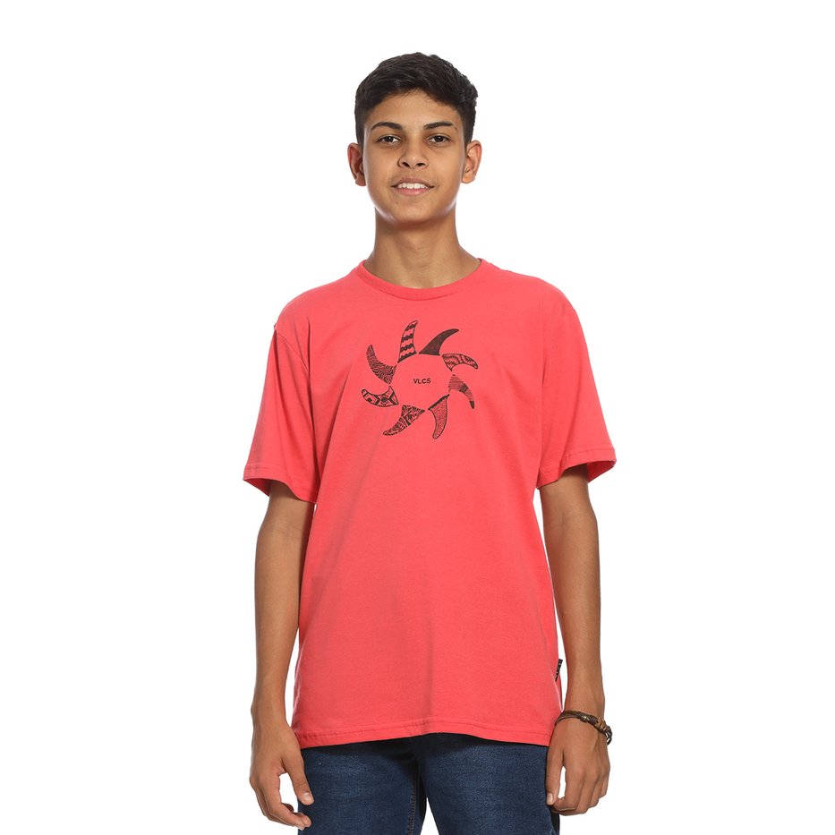 zimg 32365 0 24210j 315