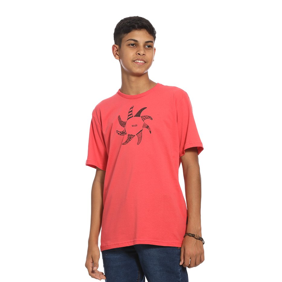 zimg 32366 2 24210j 315