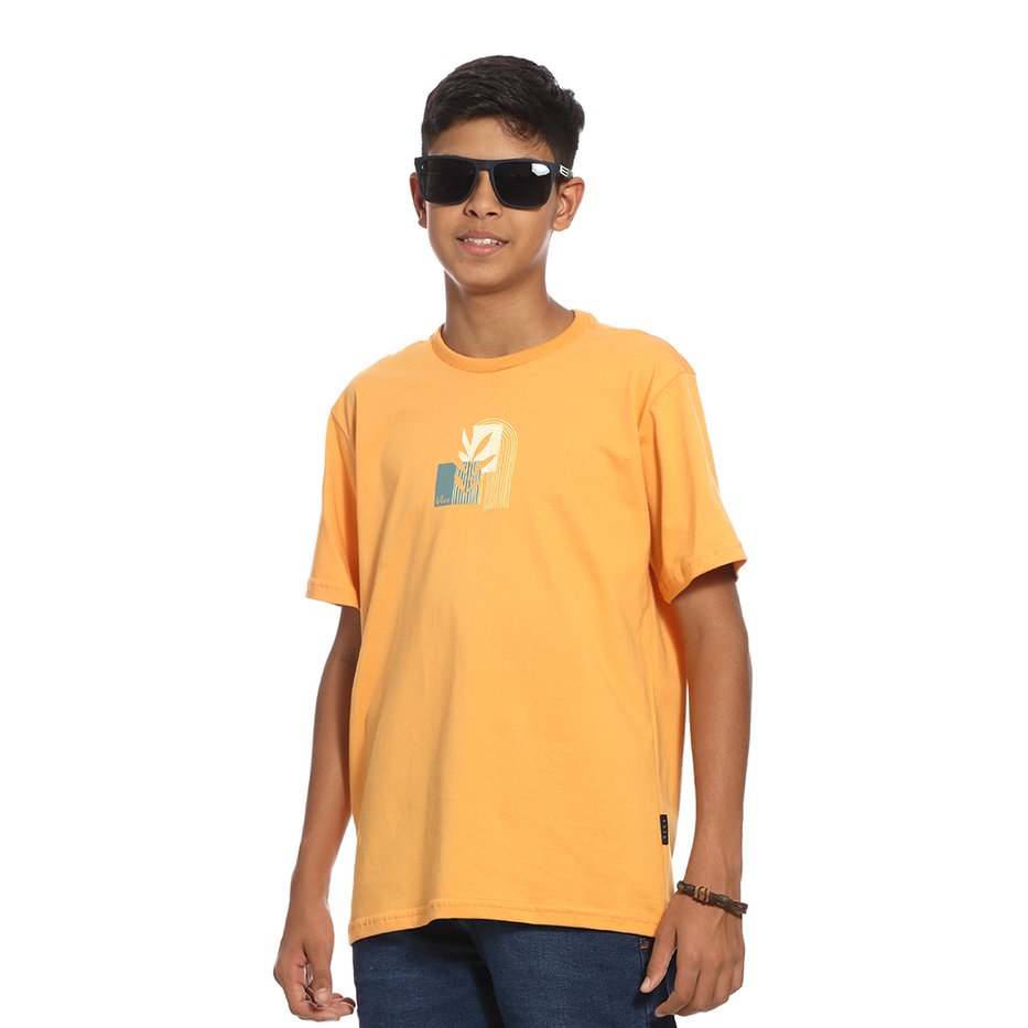 zimg 32448 0 24214i 284