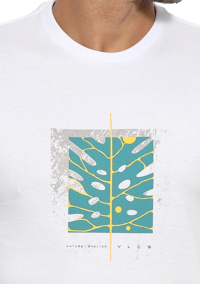 zimg 33372 1 24332 2