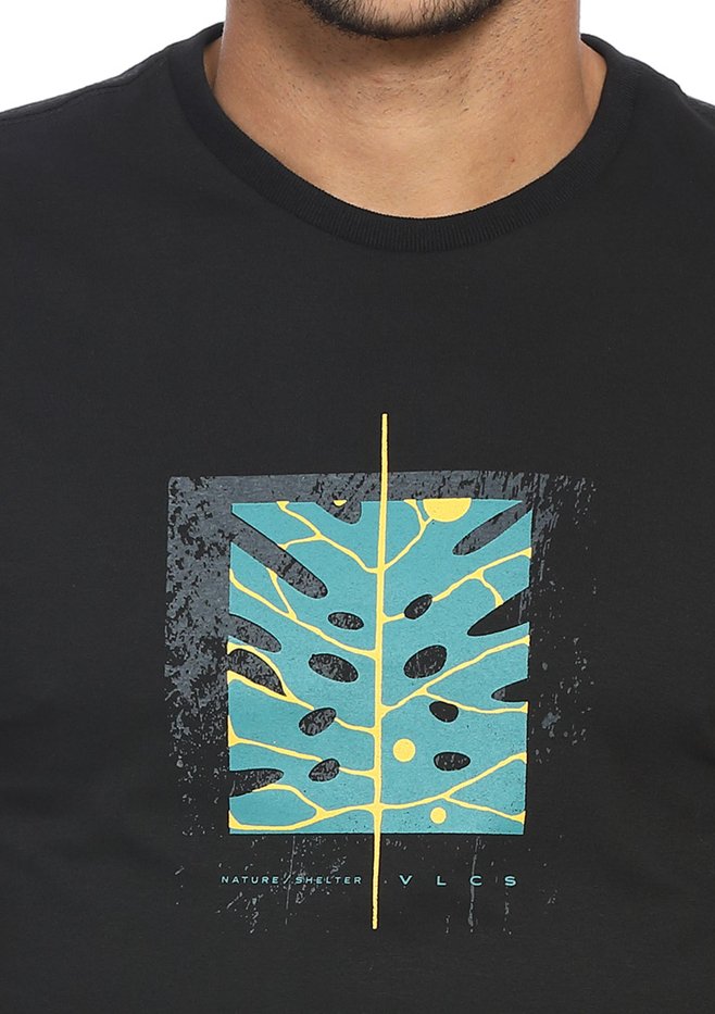 zimg 33364 1 24332 3