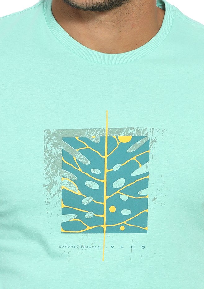 zimg 33368 1 24332 311