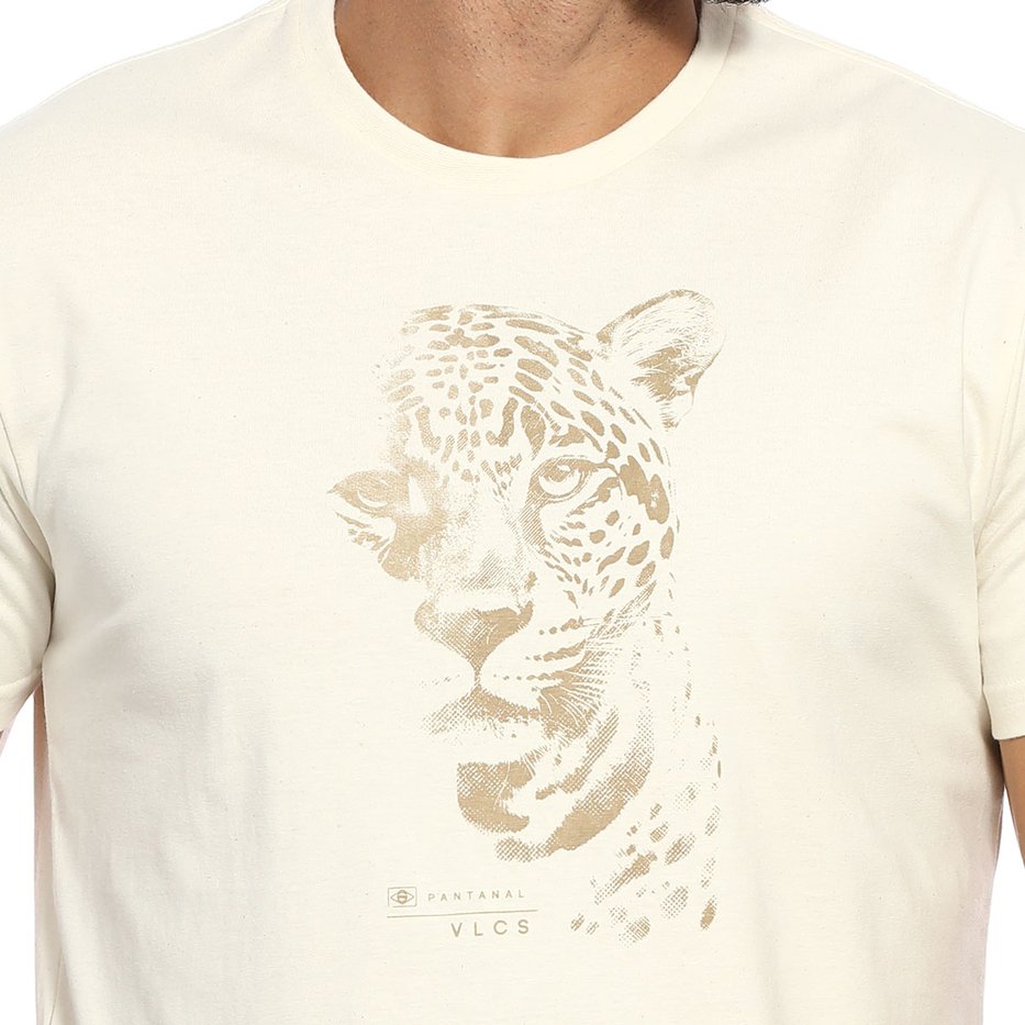 zimg 29231 1 24251 22