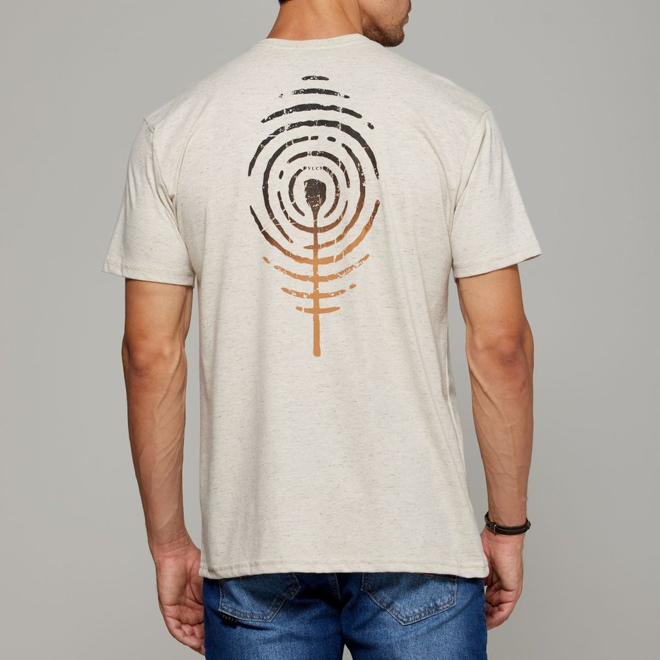 zimg 36077 0 25011 323