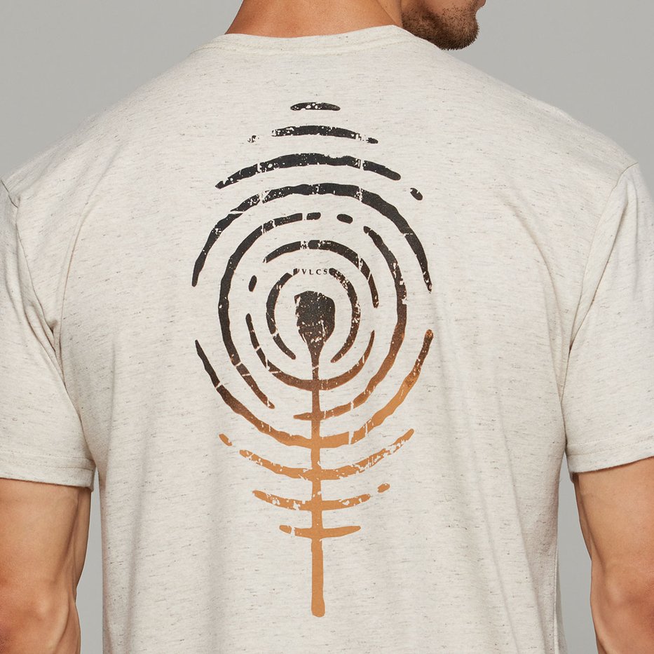 zimg 36078 1 25011 323