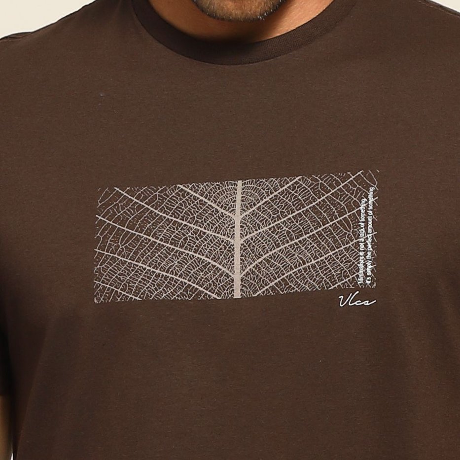 zimg 36544 1 25032 38