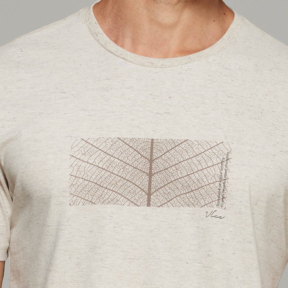 zimg 36532 1 25032 323