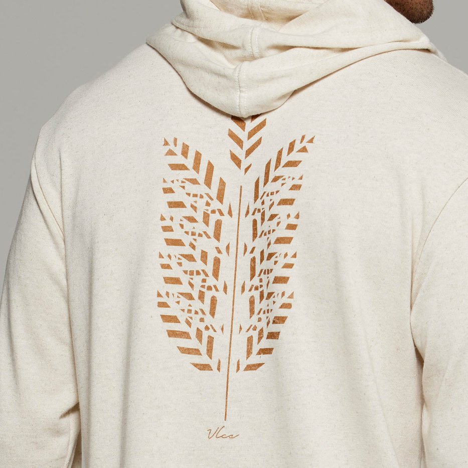 zimg 37072 1 25097 22