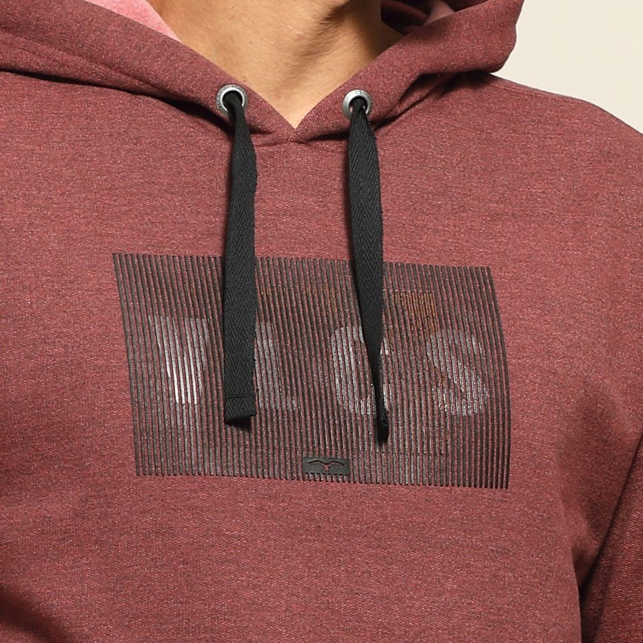 zimg 37462 1 25113 204