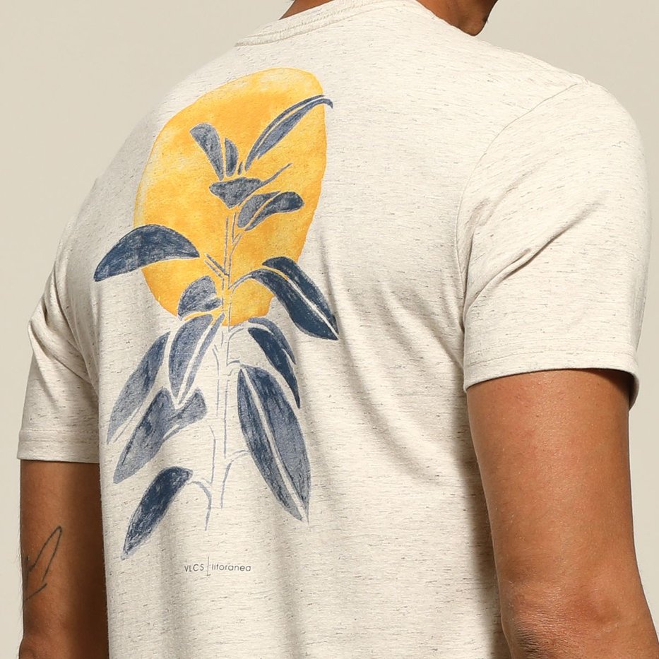 zimg 37987 1 lt25059 323