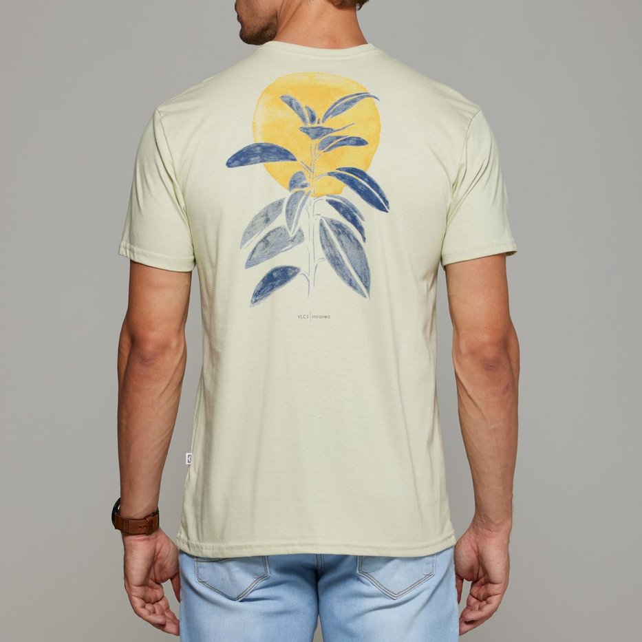 zimg 37974 0 lt25059 324