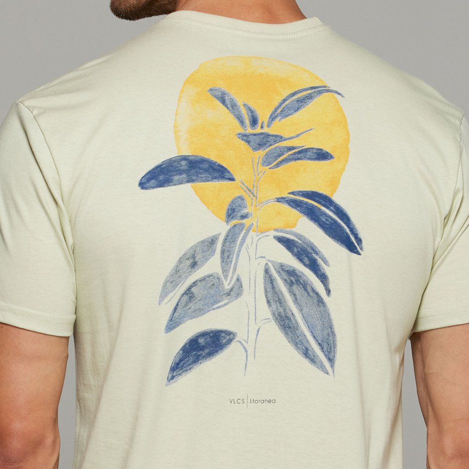 zimg 37975 1 lt25059 324