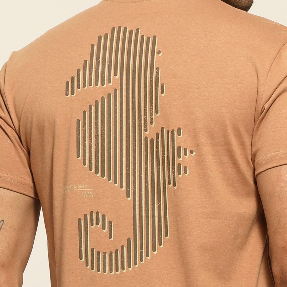 zimg 37954 1 lt25057 101