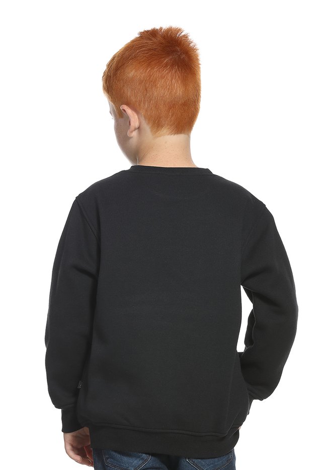 zimg 30156 2 24105i 3