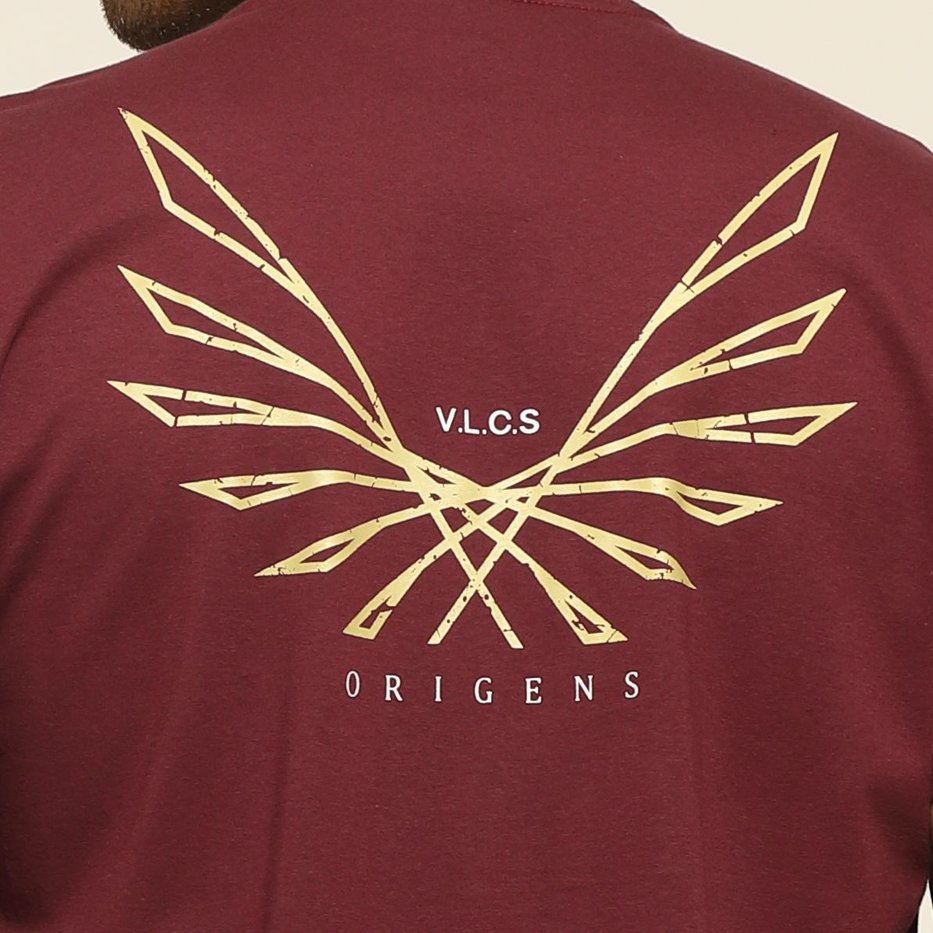 zimg 36759 1 25049 78