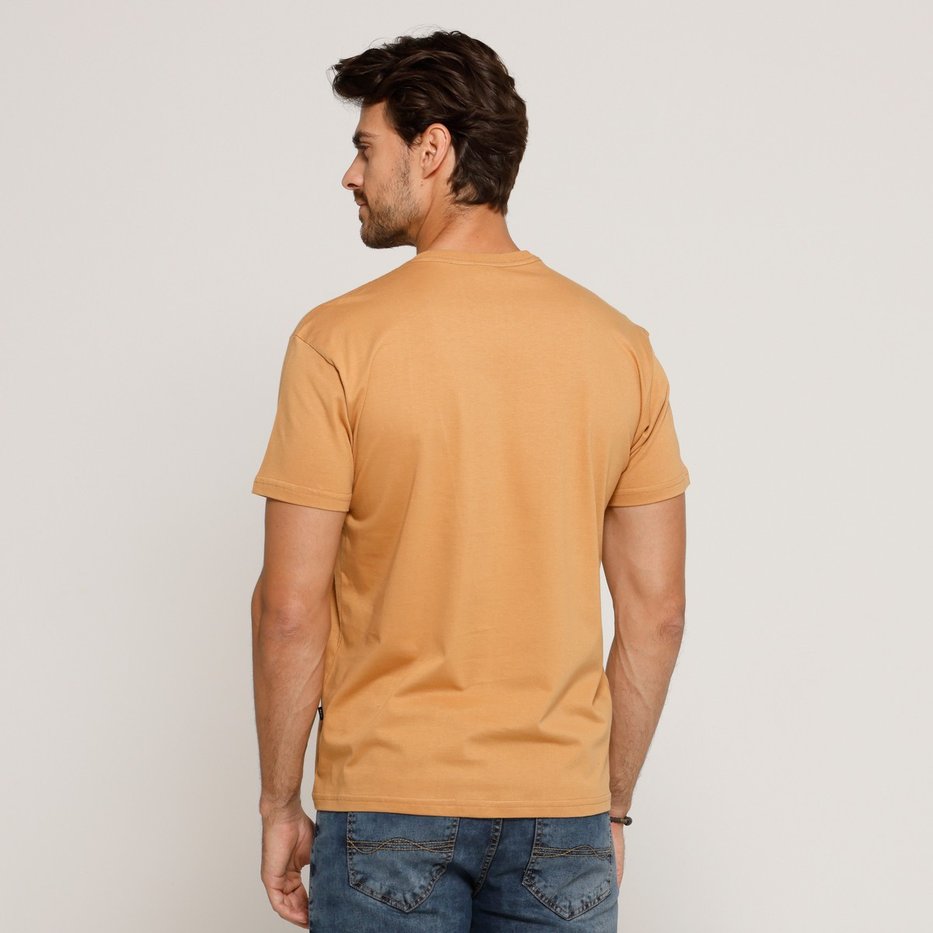 zimg 38462 2 25201 338