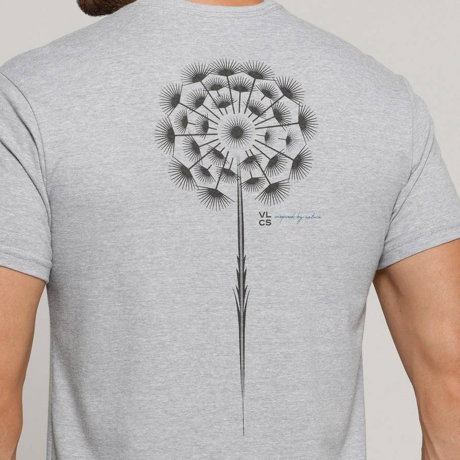 zimg 39667 1 25266 28