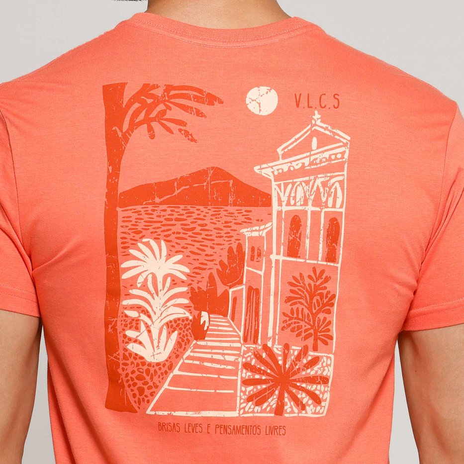 zimg 41933 1 lt25321 6