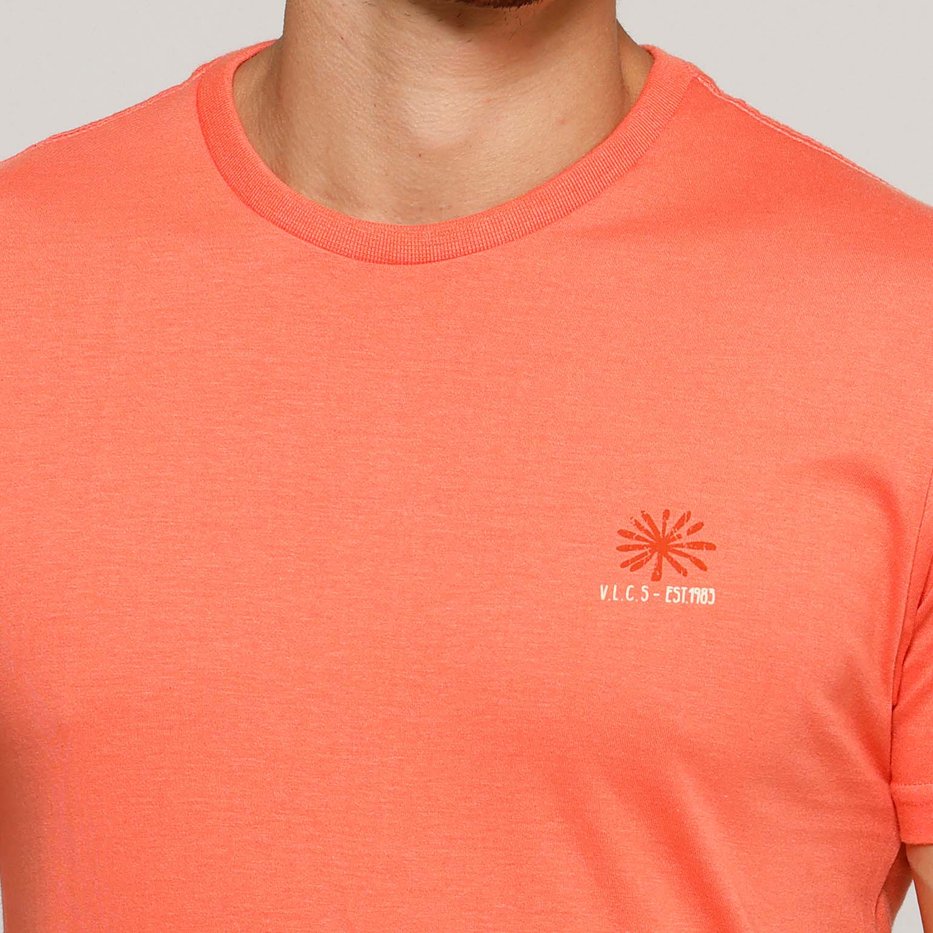 zimg 41932 2 lt25321 6