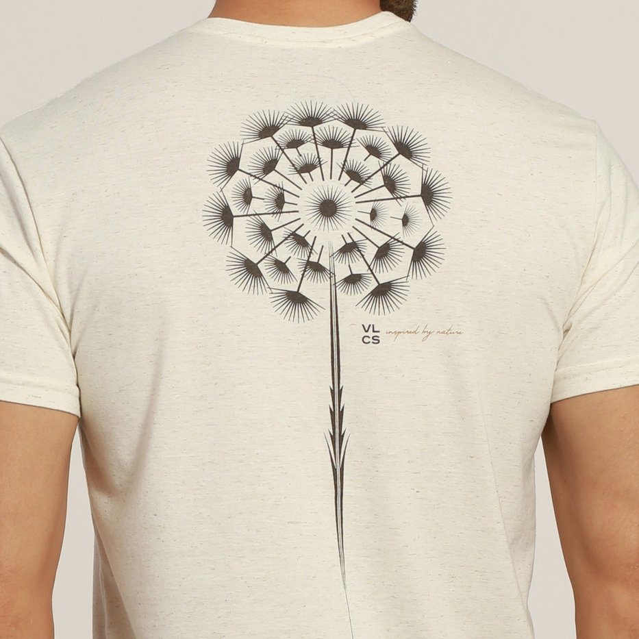 zimg 39672 1 25266 320