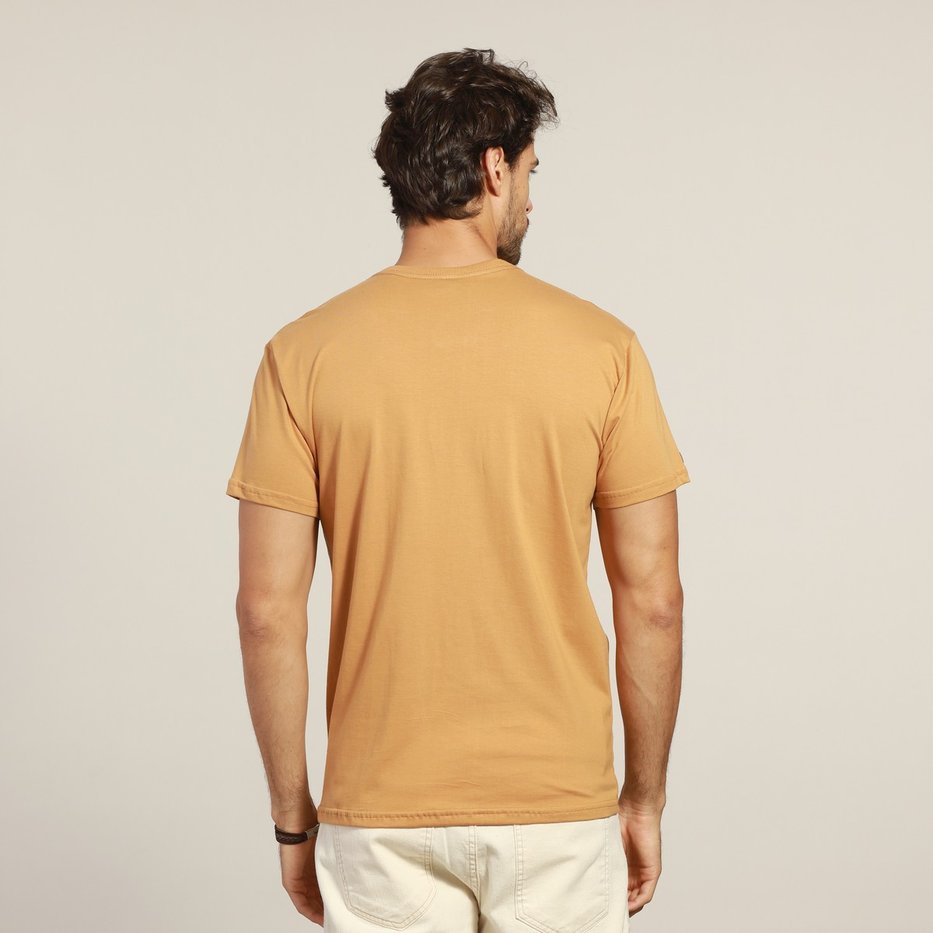 zimg 251 2 basic 01 338