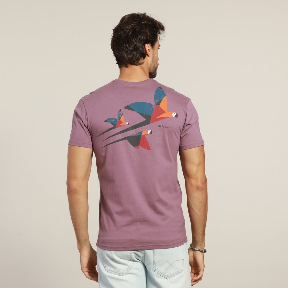 zimg 41915 0 lt25320 249