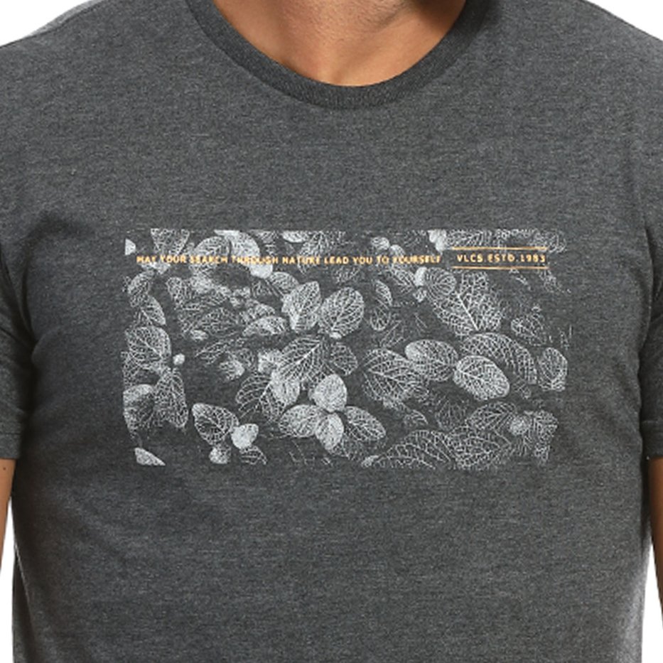 zimg 21041 2 22628 29