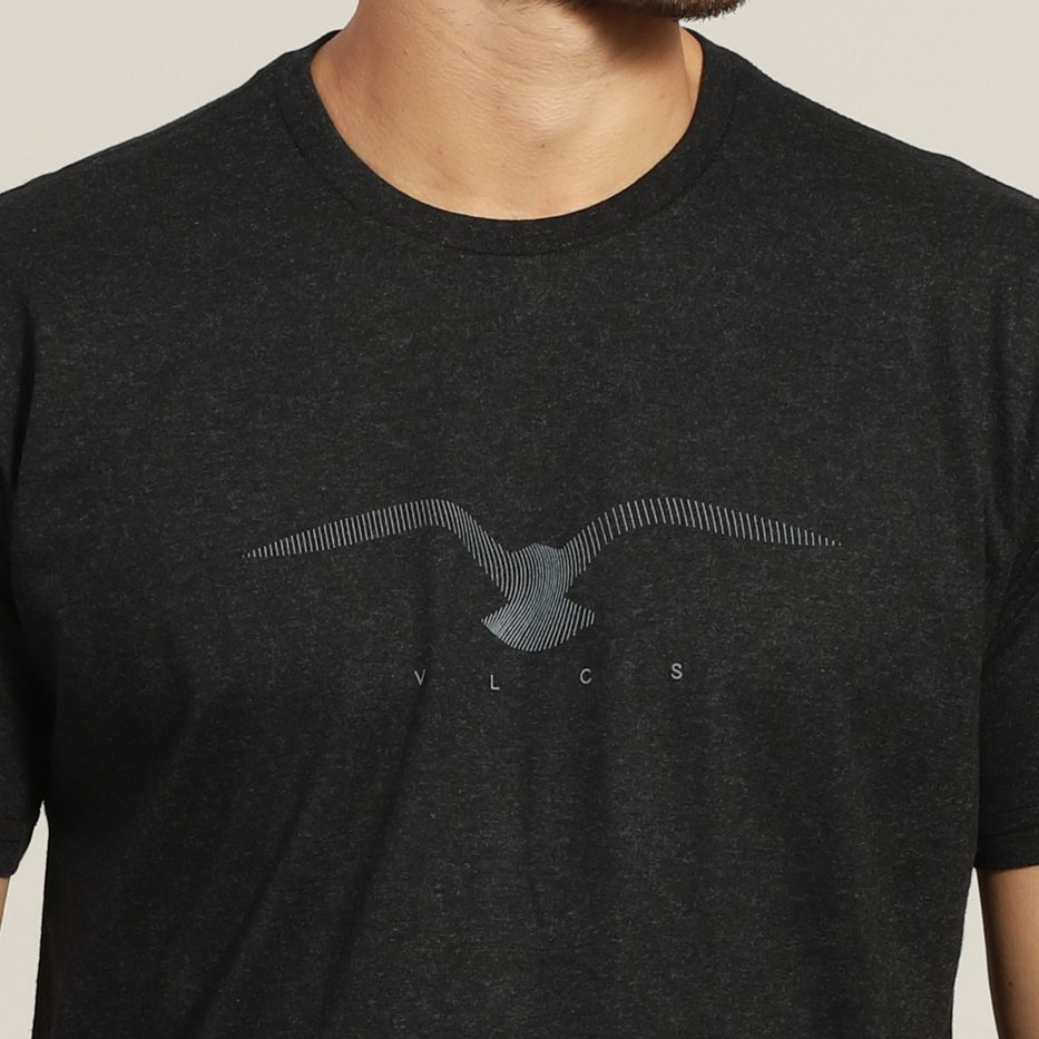 zimg 38705 1 25206 143