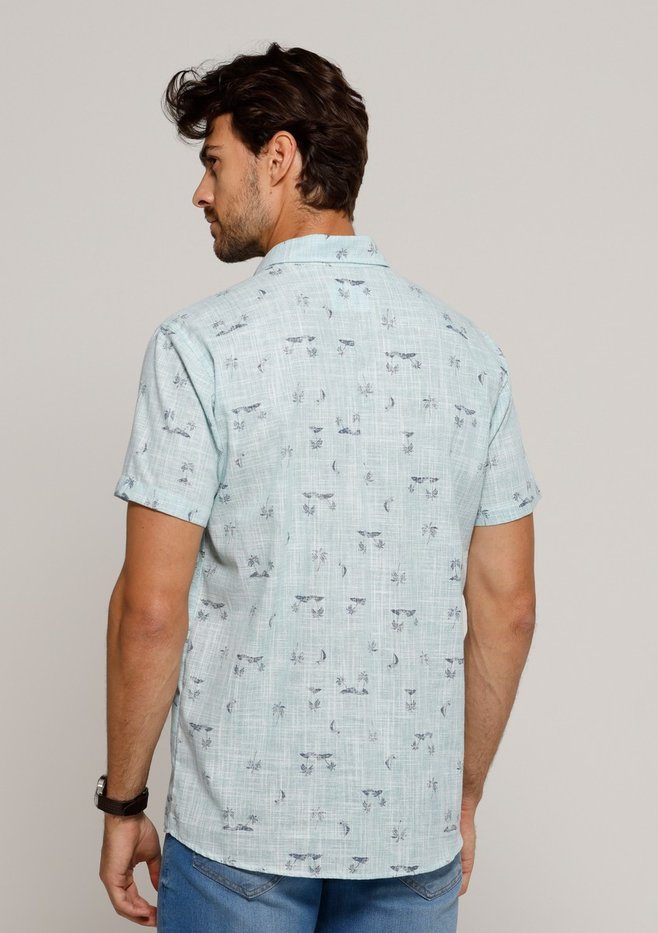 zimg 41536 2 25601 231